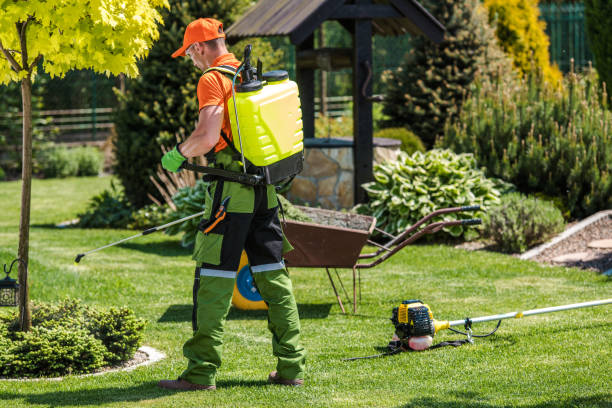 Best Lawn Pest Control  in Souderton, PA